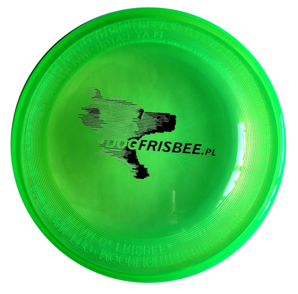 frisbee sweden dogfrisbee hundfrisbee sverige