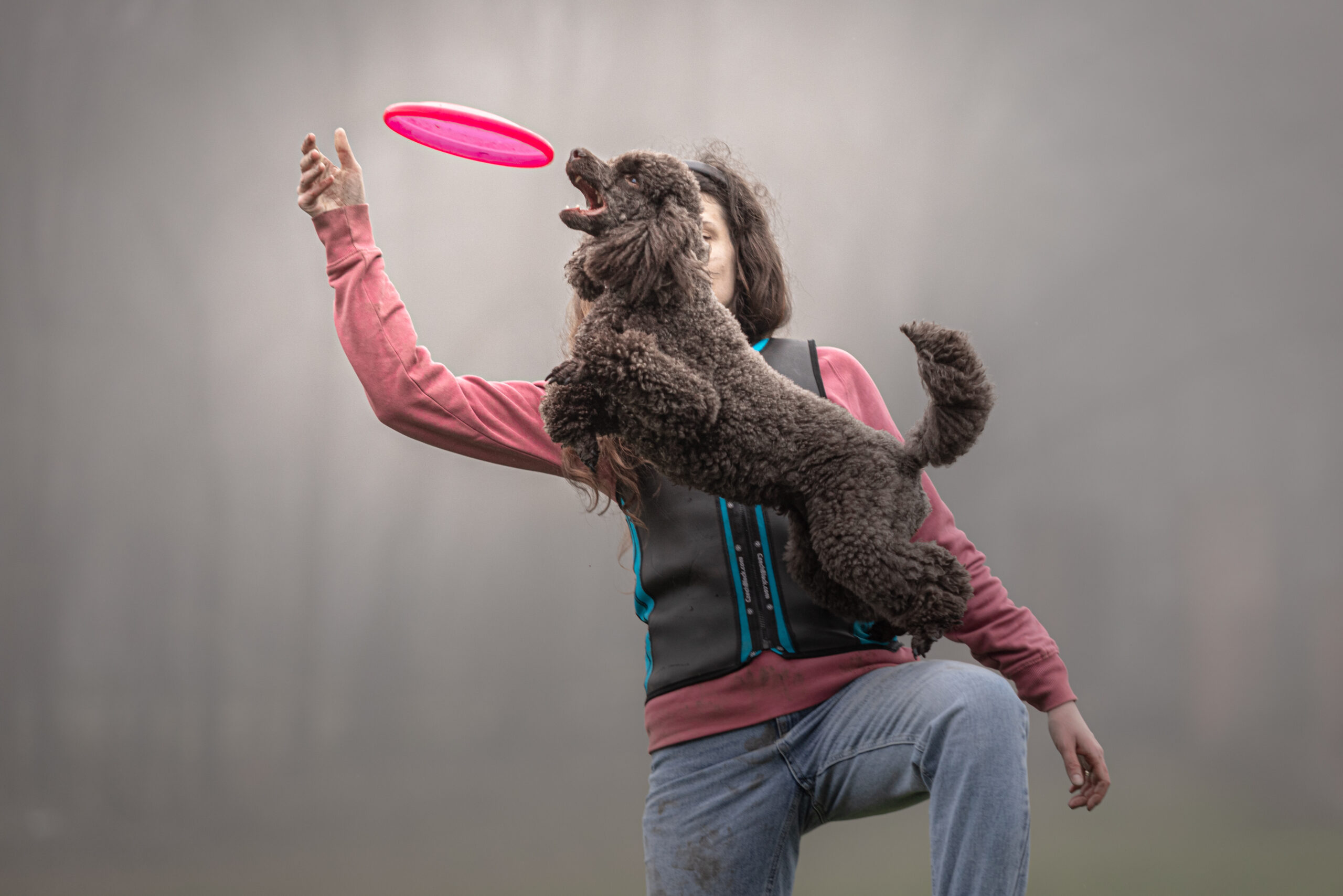 frisbee, fot. agata lapinska flash and fetch