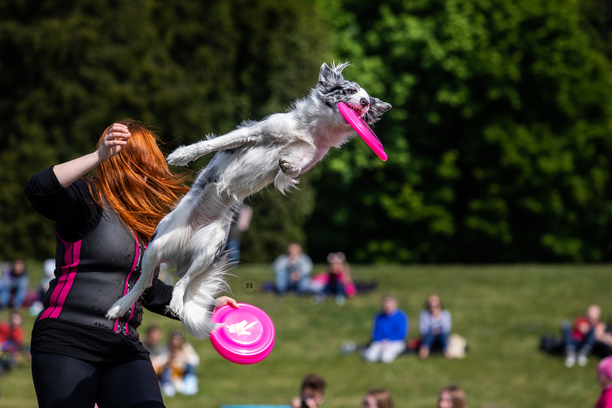 Frisbeetävlingar 2024 – Polen