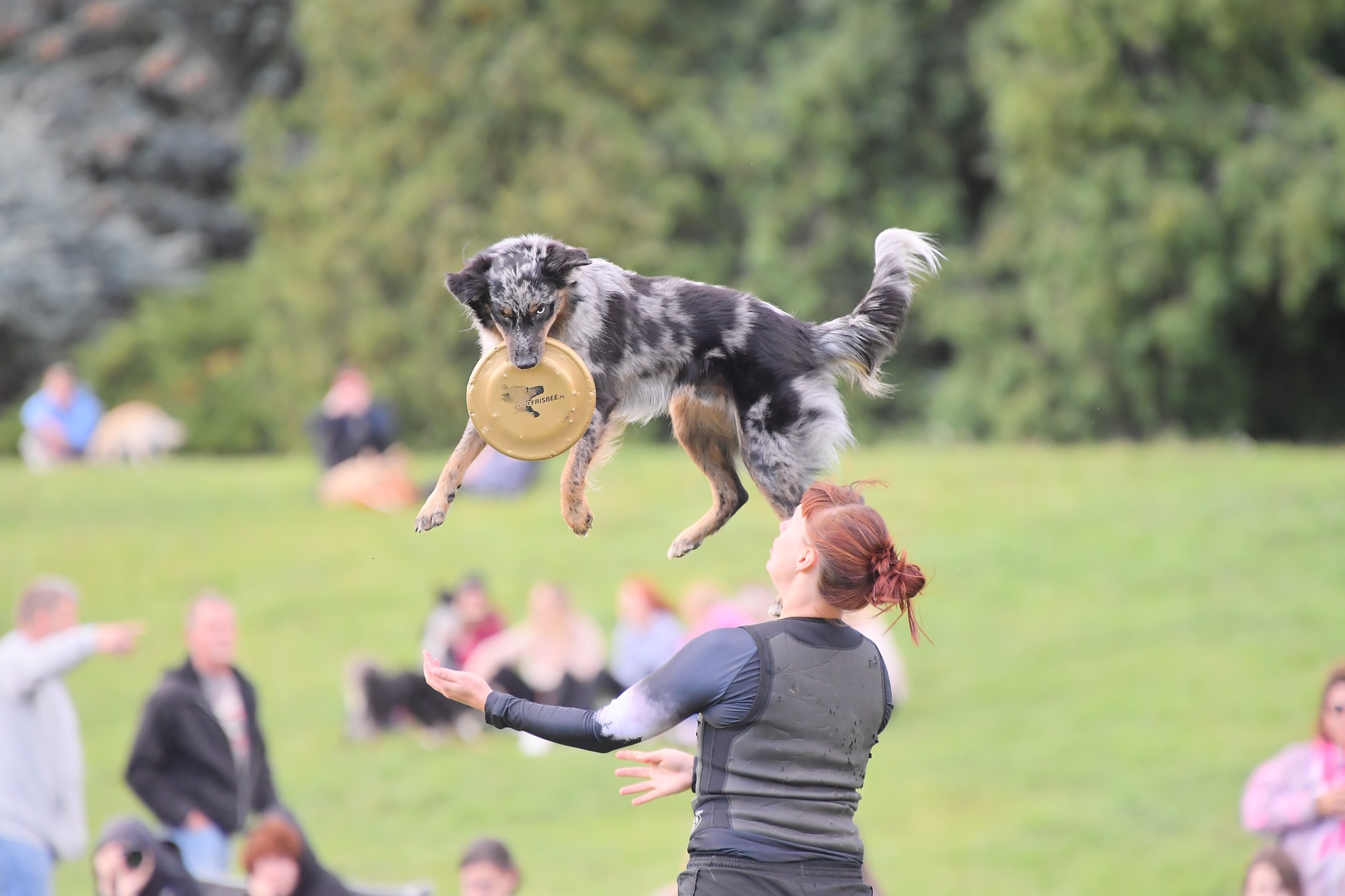 2-3 mars – dogfrisbeekurs för Zaklina Michalczuk i Stockholm!