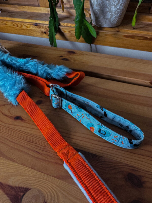 Belöningskoppel med halsband